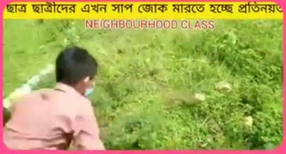 Neighborhood classes under â€˜Open Skyâ€™ risking students Lives in Tripura : Snakes, Bulls, Leeches entering in neighborhood classes, teacher seen sitting on tree branch while teaching